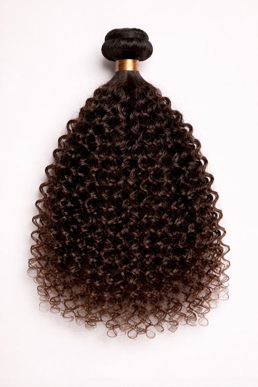 Burmese curl